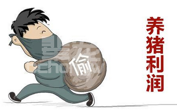 养猪业的隐形扒手｜霉菌毒素对养猪业的危害