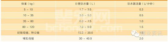 猪呼吸道疾病发生的原因及防控措施