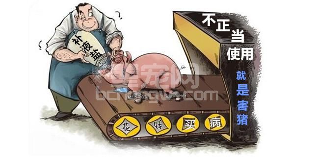 为什么大家都在用补液盐，而有人的小猪还在死？