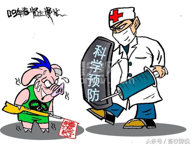如何防治猪流感和猪感冒？