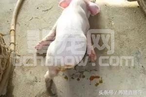产房腹泻的有效治疗方法