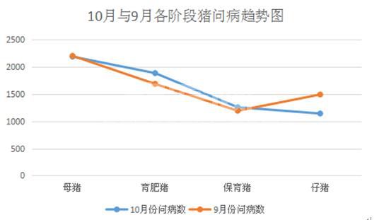 10月份猪病情况报告 警惕这些疾病抬头！