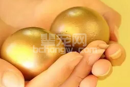 猪病综合防治黄金法则......
