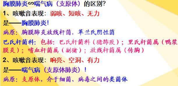 听猪咳嗽声 轻松区分胸膜肺炎、喘气病