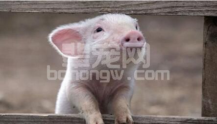 各种呼吸道疾病为何秋后频发？