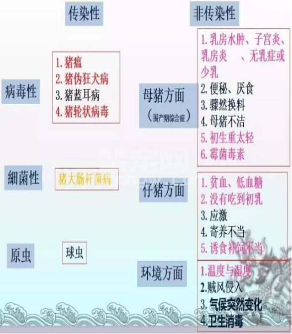 几张图表教你远离哺乳仔猪腹泻