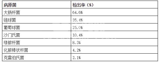 母猪子宫内膜炎病原菌及其耐药性分析