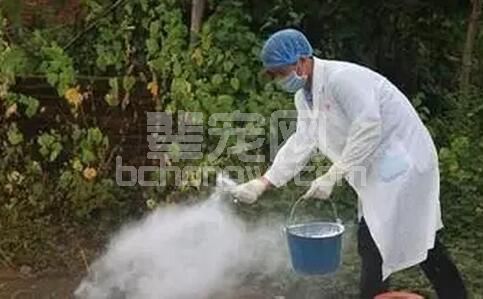 秋冬高发季节：据说口蹄疫这样防最有效！！！