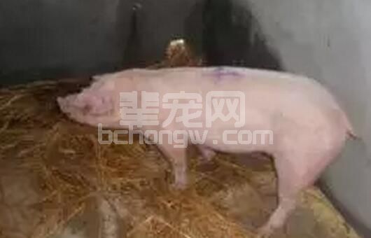夏秋交替高发病的防控措施