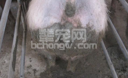 秋季要防好病毒性腹泻！