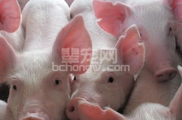 夏秋交替哪些病高发？几招轻松做好防控