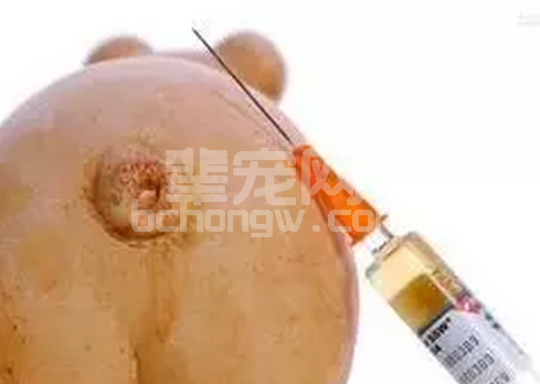 “普免、一刀切”、“菌苗、疫苗”、”活苗、死苗“混乱的猪养殖行业混乱的日常操作， ...