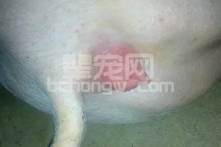 子宫炎症有方法！
