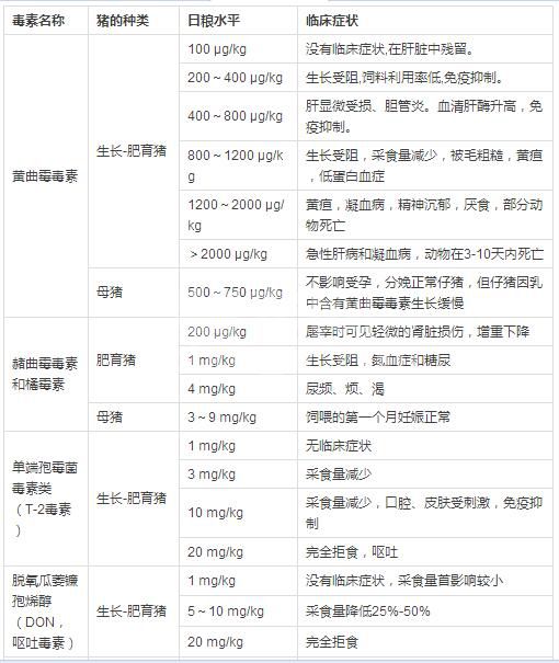 霉菌毒素对养猪的危害--一看吓一跳