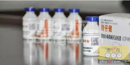 PPV是引起母猪繁殖障碍主要病原体之一，免疫疫苗是控制猪细小病毒病有效方式！