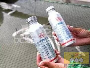 从现在猪场用药存在很大的重大误区，谈养猪生产中如何合理使用药物