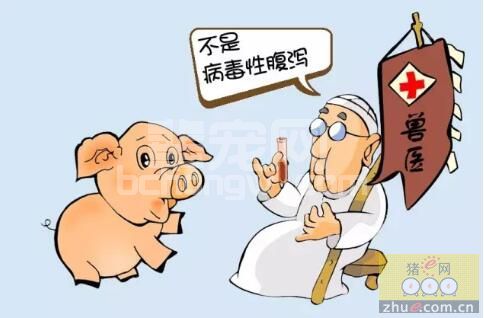 用自家苗防治腹泻没有效果？可能是患上伪狂犬了！