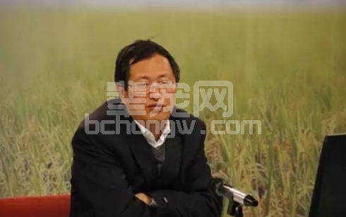 印遇龙：日粮添加1%精氨酸，可提高肥猪胴体瘦肉率