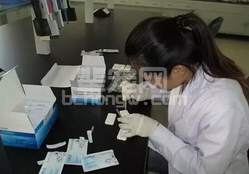 您的猪场有自己的实验室吗？猪场管理与实验室工作相结合有多么重要啊！
