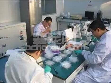 规模猪场疫病实验室检测常见问题：抽样、费用、评价等