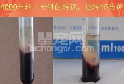 猪场如何才能得到一份有价值的诊断报告？