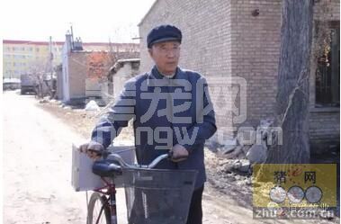 20年老兽医总结的7首猪病谣，不仅好记还实用！
