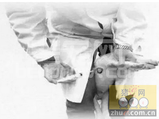 冬季高发病影响猪场盈利，教你三招搞定喘气病