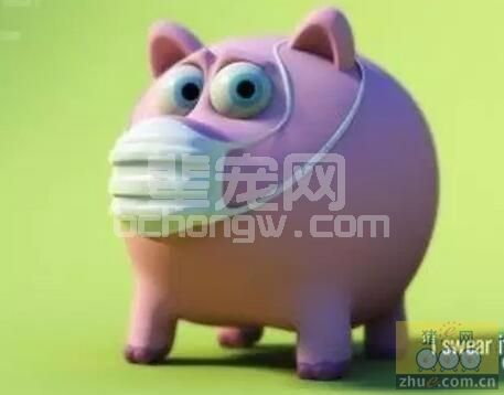 如何预防猪流感
