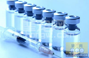 氟尼辛葡甲胺注射液应用知识问答 之应用篇