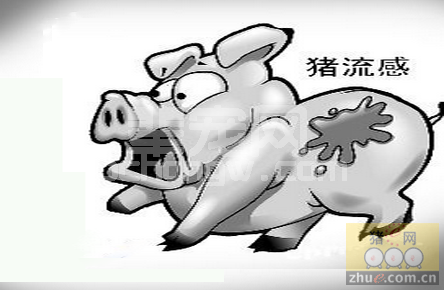 秋冬交替温差大 生猪疫病早防控