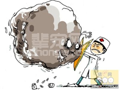当前猪场的副猪嗜血杆菌病应引起重视
