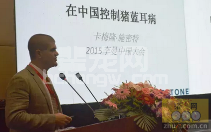 卡梅隆·施密特：在中国控制猪蓝耳病