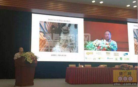 【李曼大会听课笔记】冯力：猪病毒性腹泻的科学防控
