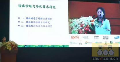 王琴：猪瘟诊断与净化技术研究