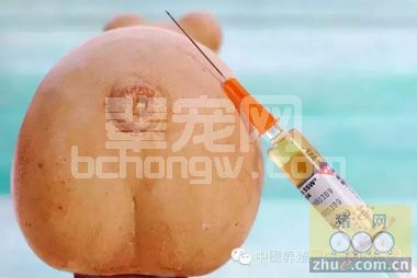如何鉴别脱霉剂的质量