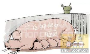 南方高温地区母猪产后厌食症原因分析及注射输液疗法