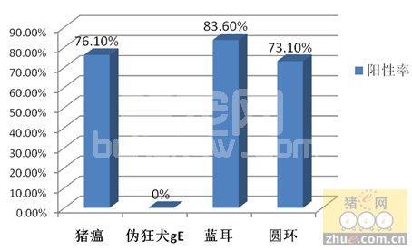 用治嗽静(泰万菌素)稳定蓝耳病