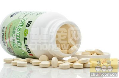 维生素C能缓解猪热应激吗？