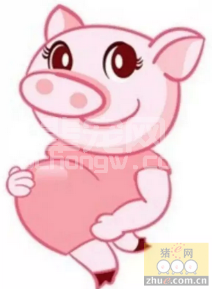 母猪推迟分娩到底与蓝耳等有没有关系？