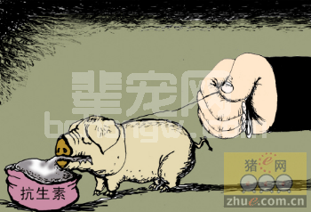 中国抗生素滥用造成环境污染 牲畜用药量吓坏养殖户