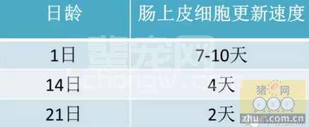 控制猪流行性腹泻，必须口服免疫？