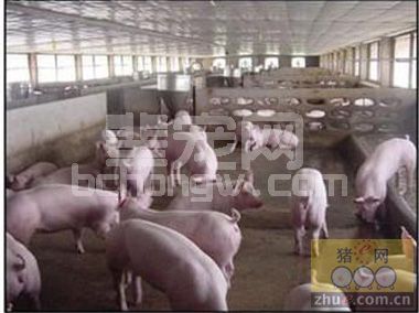 夏季重点防五病，样样有妙招