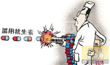 如何替代、减少和改善农场中抗生素的使用