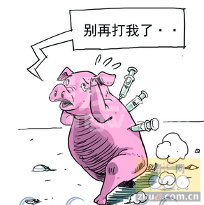 滥用抗生素剑指养殖业