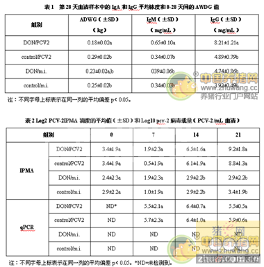 脱氧萎镰菌醇中毒 对仔猪隐性感染PCV-2的影响