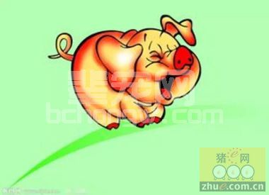 仔猪腹泻的病原及诊断与防控