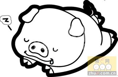 初夏几种常见传染性猪病的诊断方法