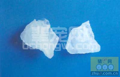 巧用白矾治猪病效果好