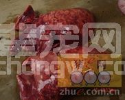 怀化某养殖场感染传染性胸膜炎
