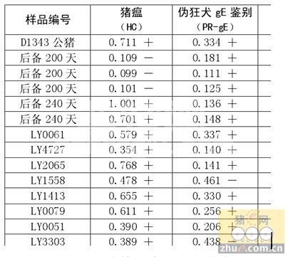 一起伪狂犬引发的新生仔猪腹泻病例